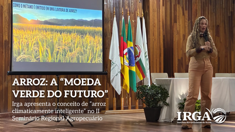 IRGA promove 'arroz inteligente' para impulsionar agronegócio regional