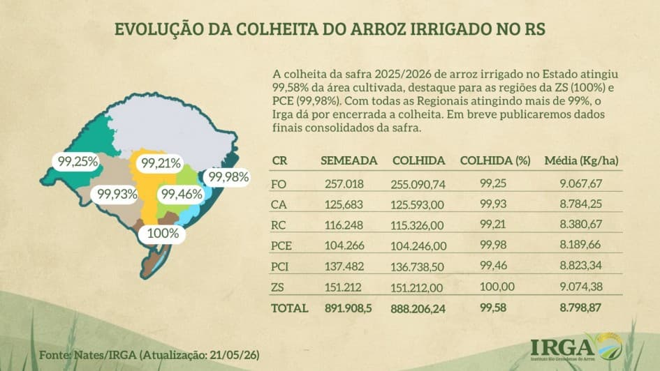 Colheita de arroz na região da Campanha atinge 99,93% na safra 2025/2026