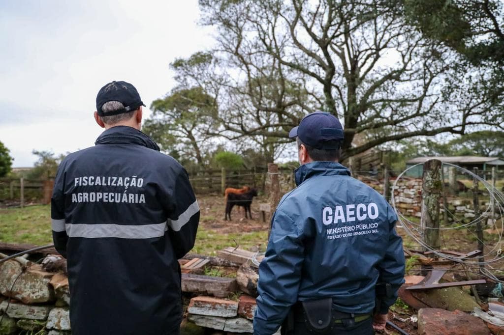 Operação Boi Fantasma revela esquema de lavagem de dinheiro na Fronteira Oeste
