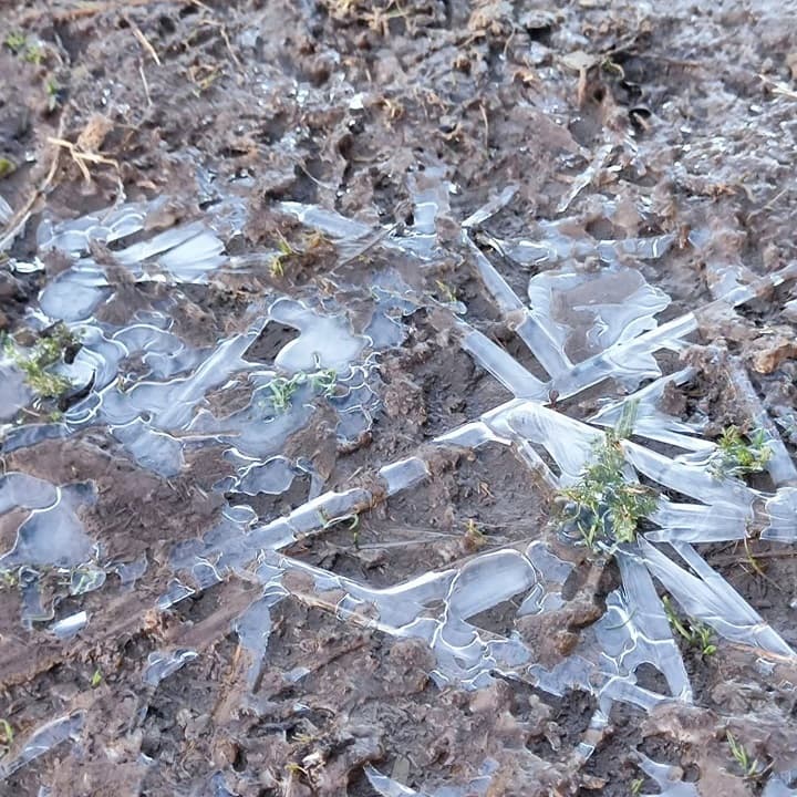 Frio intenso atinge Bagé e região